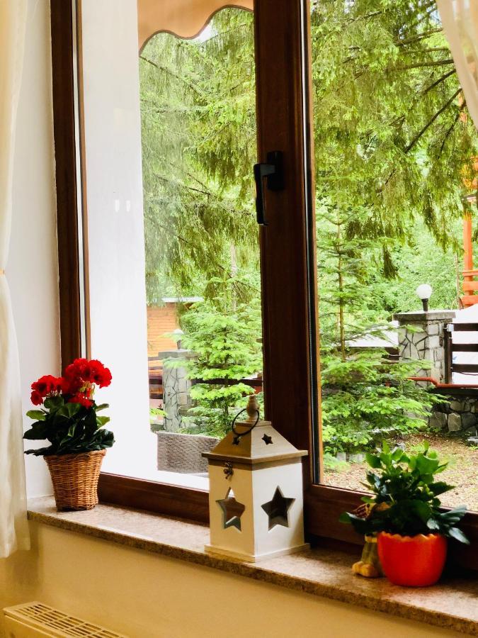 Pensiune & Restaurant Kalinder Buşteni Екстериор снимка